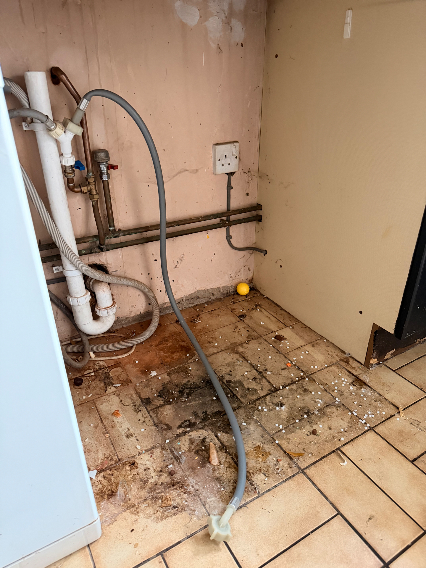 Deep Clean before